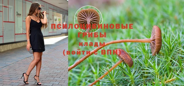 мескалин Аркадак